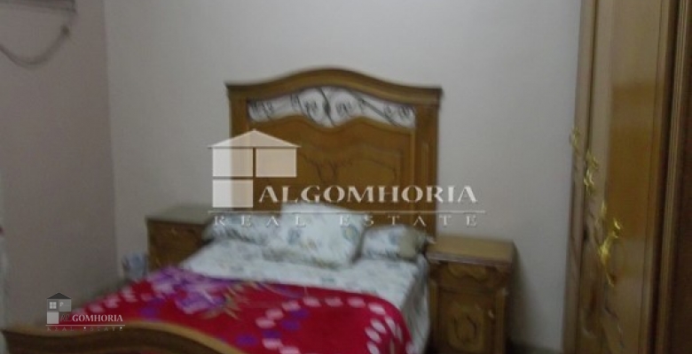 Furnished Apartment for rent 0.00 M2 in Giza, Agouza