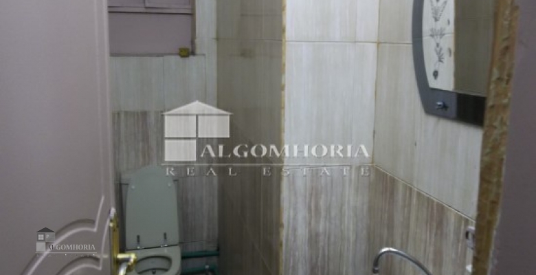 Furnished Apartment for rent 0.00 M2 in Giza, Agouza