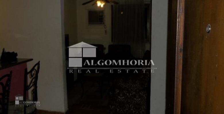 Furnished Apartment for rent 0.00 M2 in Giza, Agouza