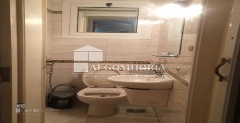 Furnished Apartment for rent 245.00 M2 in Giza, Giza