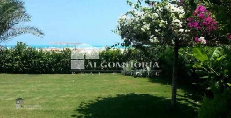 Furnished Chaleh for rent 0.00 M2 in North Coast, Marina