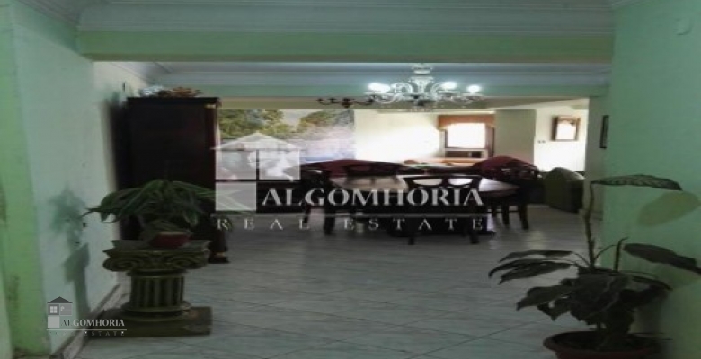 Furnished Apartment for rent 250.00 M2 in Giza, Agouza