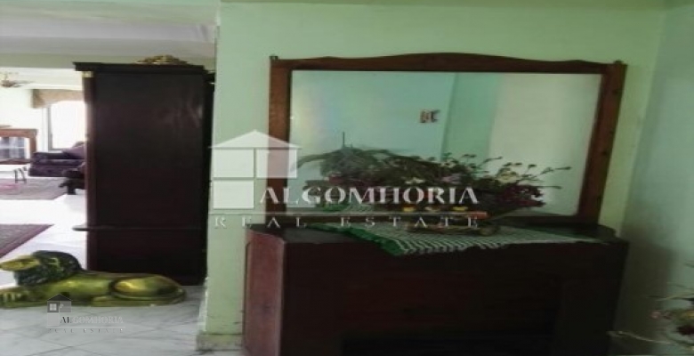 Furnished Apartment for rent 250.00 M2 in Giza, Agouza