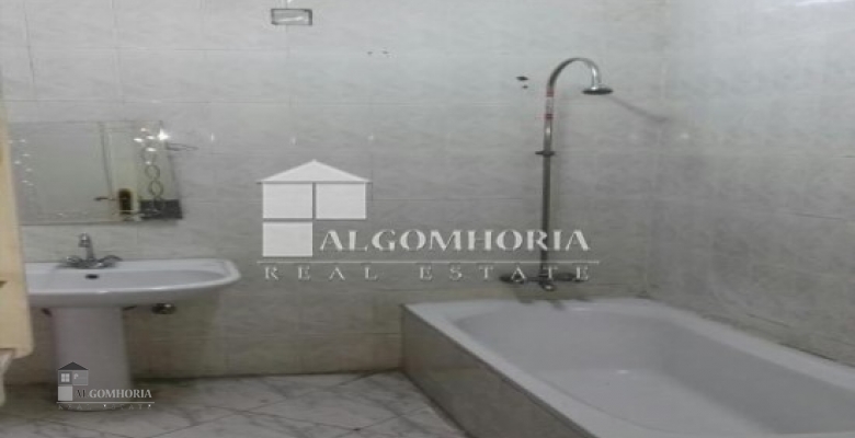 Furnished Apartment for rent 250.00 M2 in Giza, Agouza