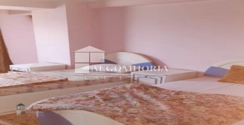 Furnished Apartment for rent 250.00 M2 in Giza, Agouza