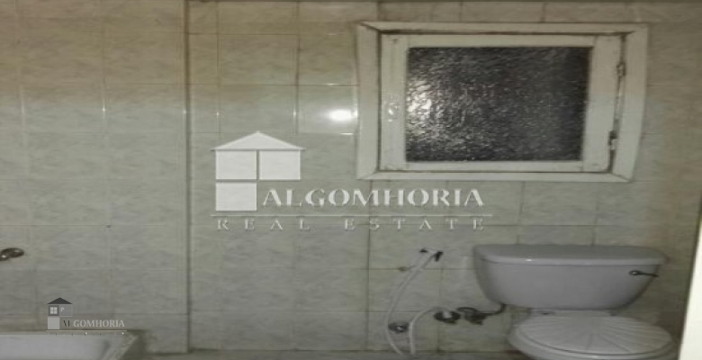 Furnished Apartment for rent 250.00 M2 in Giza, Agouza