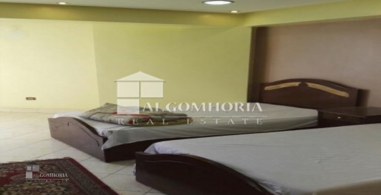 Furnished Apartment for rent 250.00 M2 in Giza, Agouza