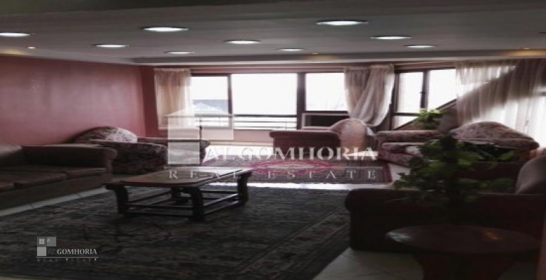 Furnished Apartment for rent 250.00 M2 in Giza, Agouza