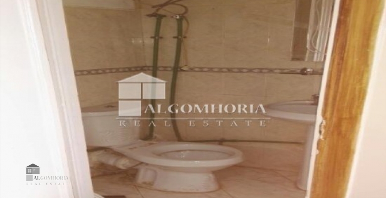 Furnished Apartment for rent 250.00 M2 in Giza, Agouza