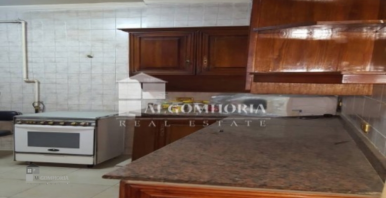 Apartment for rent 240.00 M2 in Giza, Dokki
