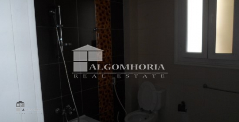 Furnished Apartment for rent 250.00 M2 in Giza, Agouza