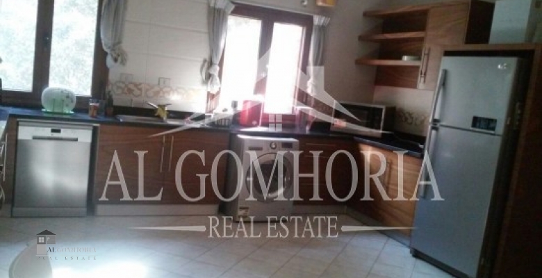 Furnished Apartment for rent 0.00 M2 in Cairo, Maadi
