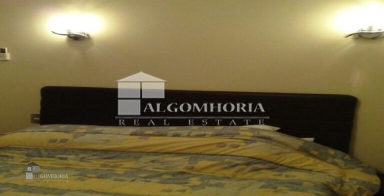 Furnished Apartment for rent 300.00 M2 in Giza, Dokki