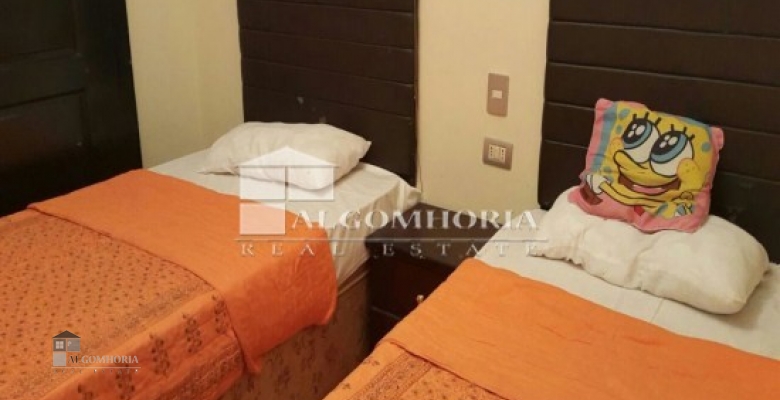 Furnished Apartment for rent 300.00 M2 in Giza, Dokki