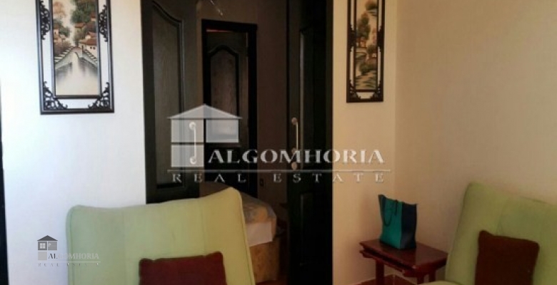 Furnished Apartment for rent 300.00 M2 in Giza, Dokki
