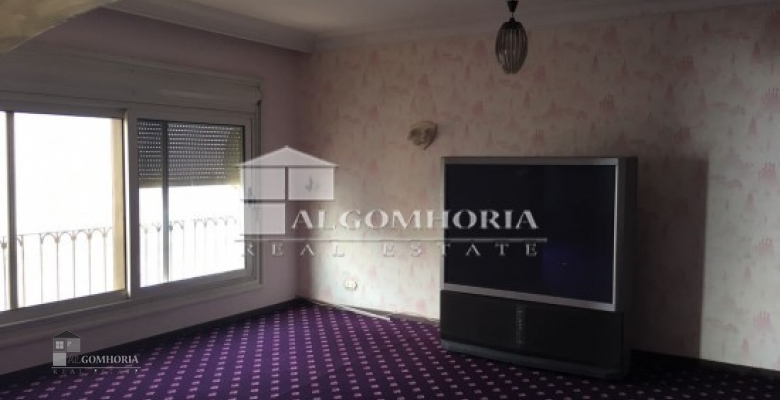 Furnished Apartment for rent 215.00 M2 in Cairo, Maadi