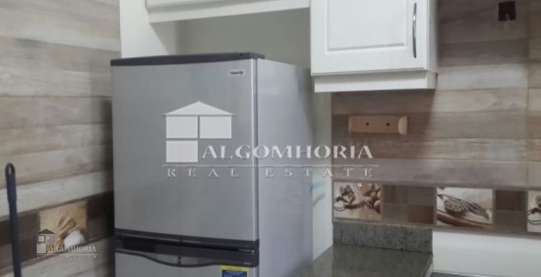 Furnished Chaleh for rent 153.00 M2 in North Coast, Sidi Abdel Rahman