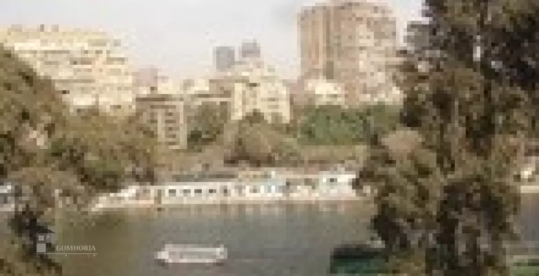 Furnished Apartment for rent 0.00 M2 in Giza, Agouza