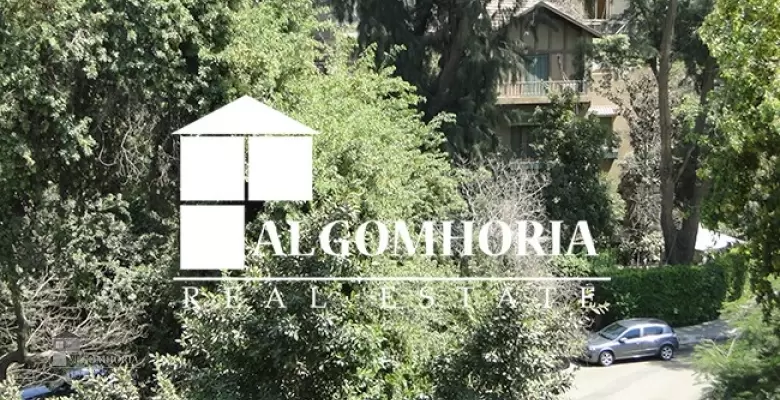 Furnished Apartment for rent 0.00 M2 in Cairo, Maadi