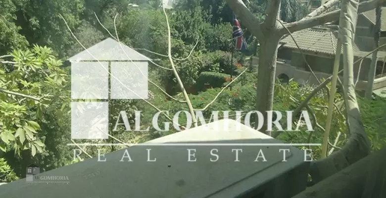 Furnished Apartment for rent 0.00 M2 in Cairo, Maadi