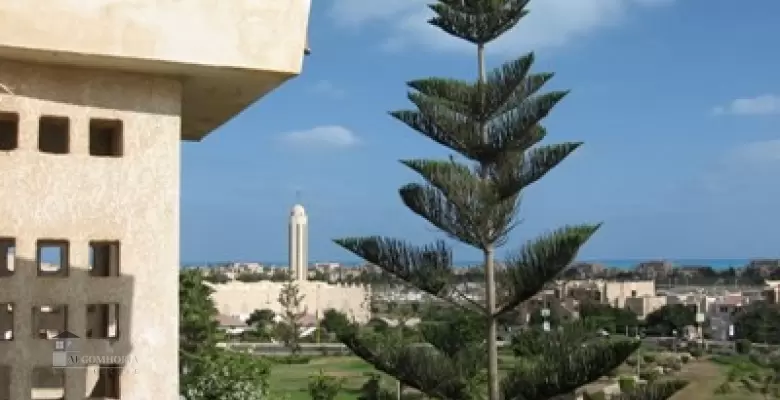 شاليه للايجار