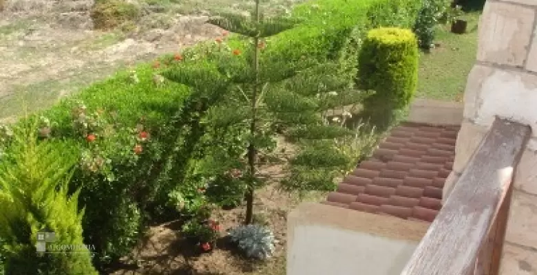 Furnished Duplex for rent 160.00 M2 in North Coast, Marina