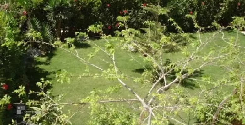 Furnished Chaleh for rent 0.00 M2 in North Coast, Marina