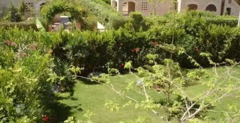 Furnished Chaleh for rent 0.00 M2 in North Coast, Marina