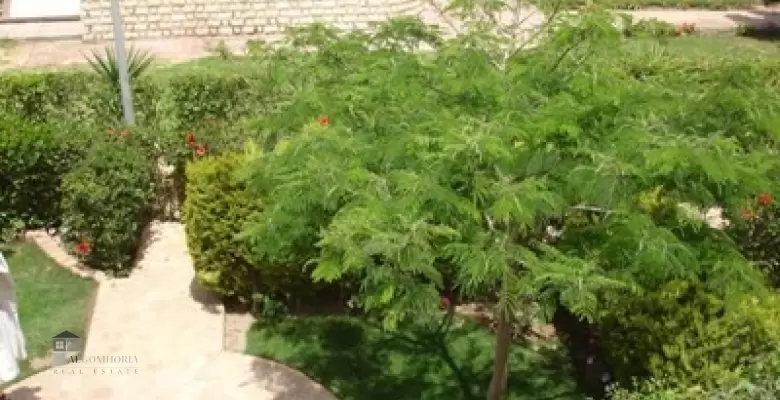 Furnished Chaleh for rent 0.00 M2 in North Coast, Marina