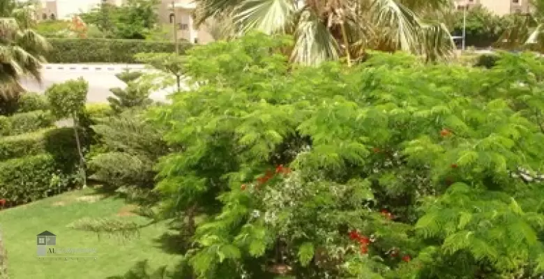 Furnished Chaleh for rent 0.00 M2 in North Coast, Marina