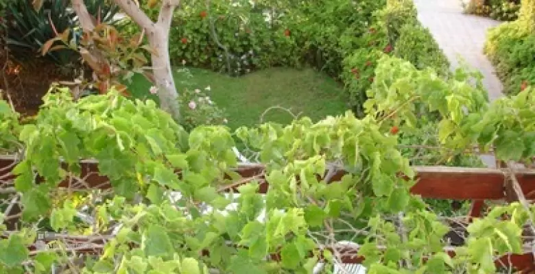 فيلا الفيروز - مارينا - الساحل الشمالي