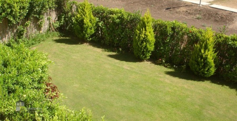 Furnished Chaleh for rent 0.00 M2 in North Coast, Marina