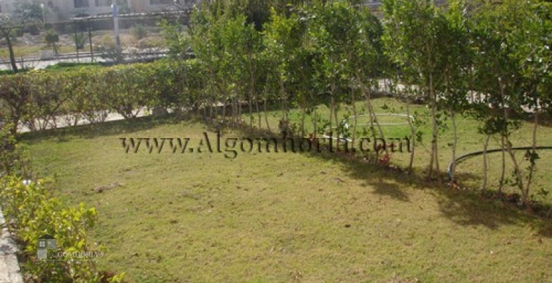 Furnished Chaleh for rent 0.00 M2 in North Coast, Marina