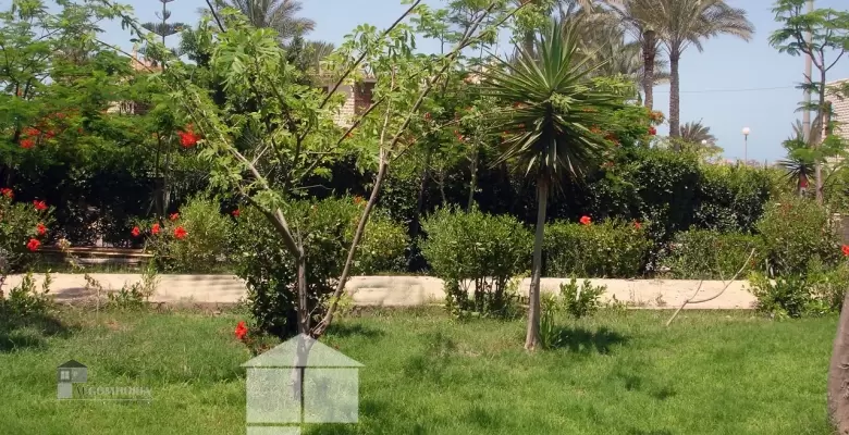 Furnished Villa for rent 200.00 M2 in North Coast, Marina