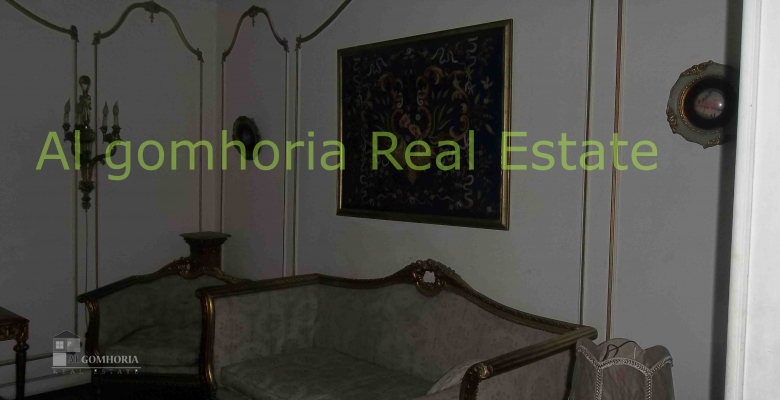 Furnished Apartment for rent 0.00 M2 in Giza, Agouza