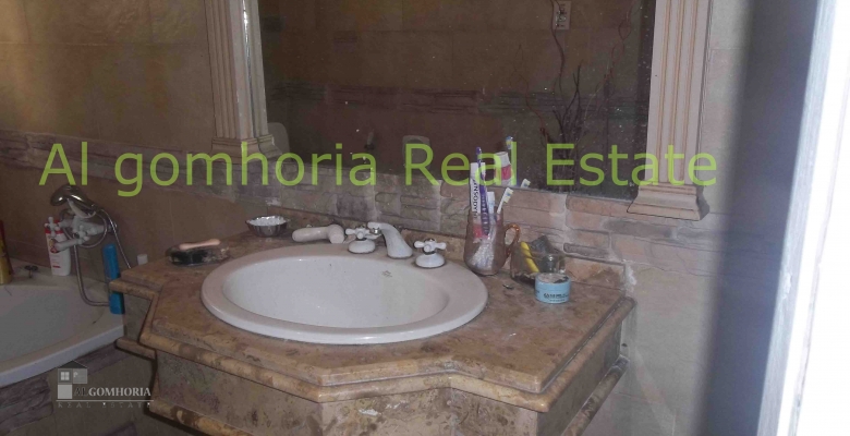 Furnished Apartment for rent 0.00 M2 in Giza, Agouza