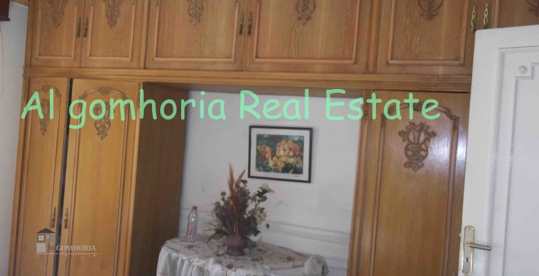 Furnished Apartment for rent 0.00 M2 in Giza, Agouza