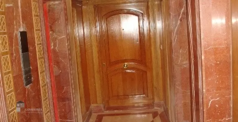 Furnished Apartment for rent 0.00 M2 in Giza, Agouza