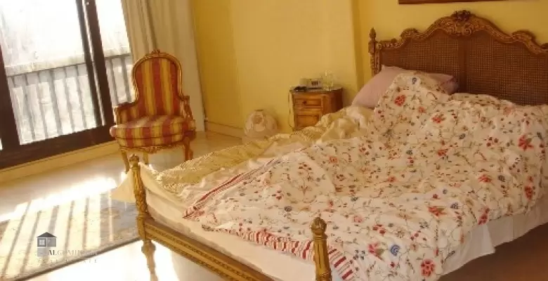 Furnished Apartment for rent 0.00 M2 in Giza, Agouza