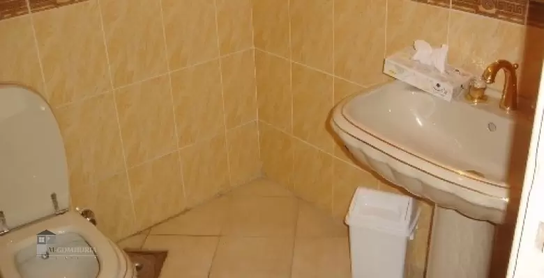 Furnished Apartment for rent 0.00 M2 in Giza, Agouza