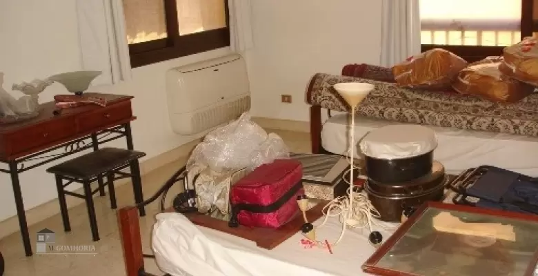 Furnished Apartment for rent 0.00 M2 in Giza, Agouza