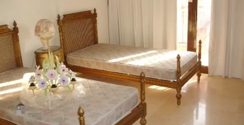 Furnished Apartment for rent 0.00 M2 in Giza, Agouza