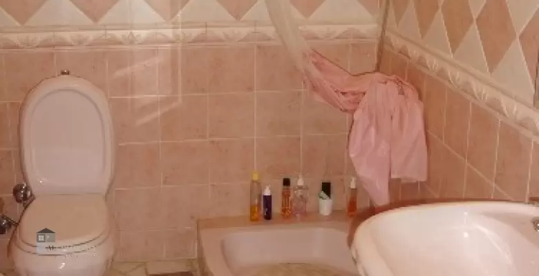 Furnished Apartment for rent 0.00 M2 in Giza, Agouza