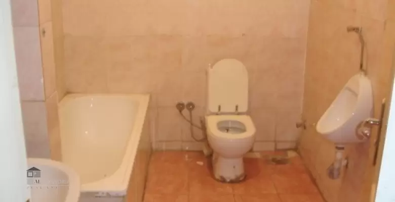 Unfurnished Villa for rent 400.00 M2 in Giza, Mohandeseen