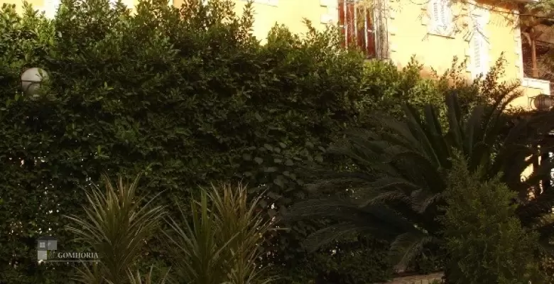 Unfurnished Villa for rent 500.00 M2 in Cairo, Maadi