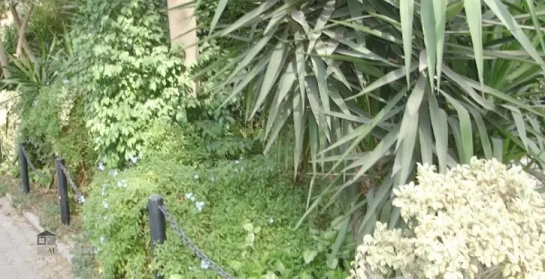 Unfurnished Villa for rent 500.00 M2 in Cairo, Maadi