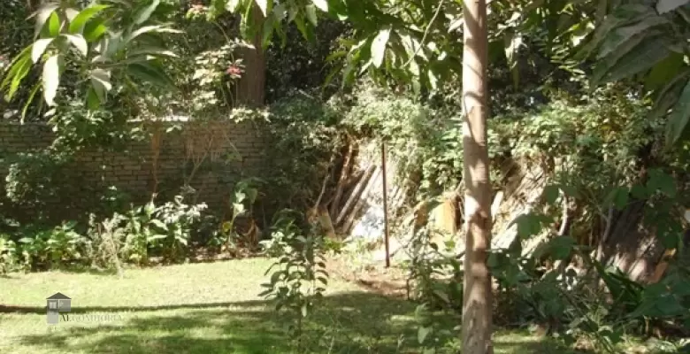 Furnished Apartment for rent 0.00 M2 in Cairo, Maadi