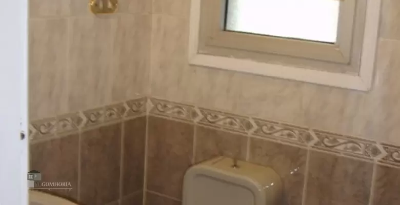 Furnished Apartment for rent 0.00 M2 in Cairo, Maadi