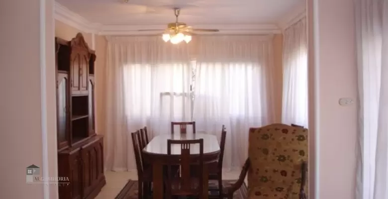 Furnished Apartment for rent 0.00 M2 in Cairo, Maadi