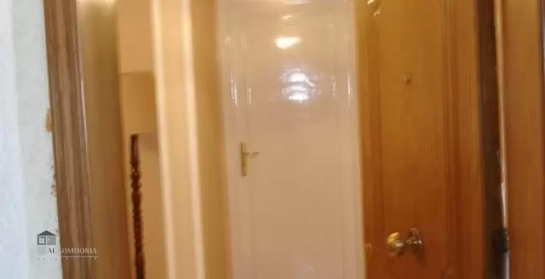 Furnished Apartment for rent 0.00 M2 in Cairo, Maadi